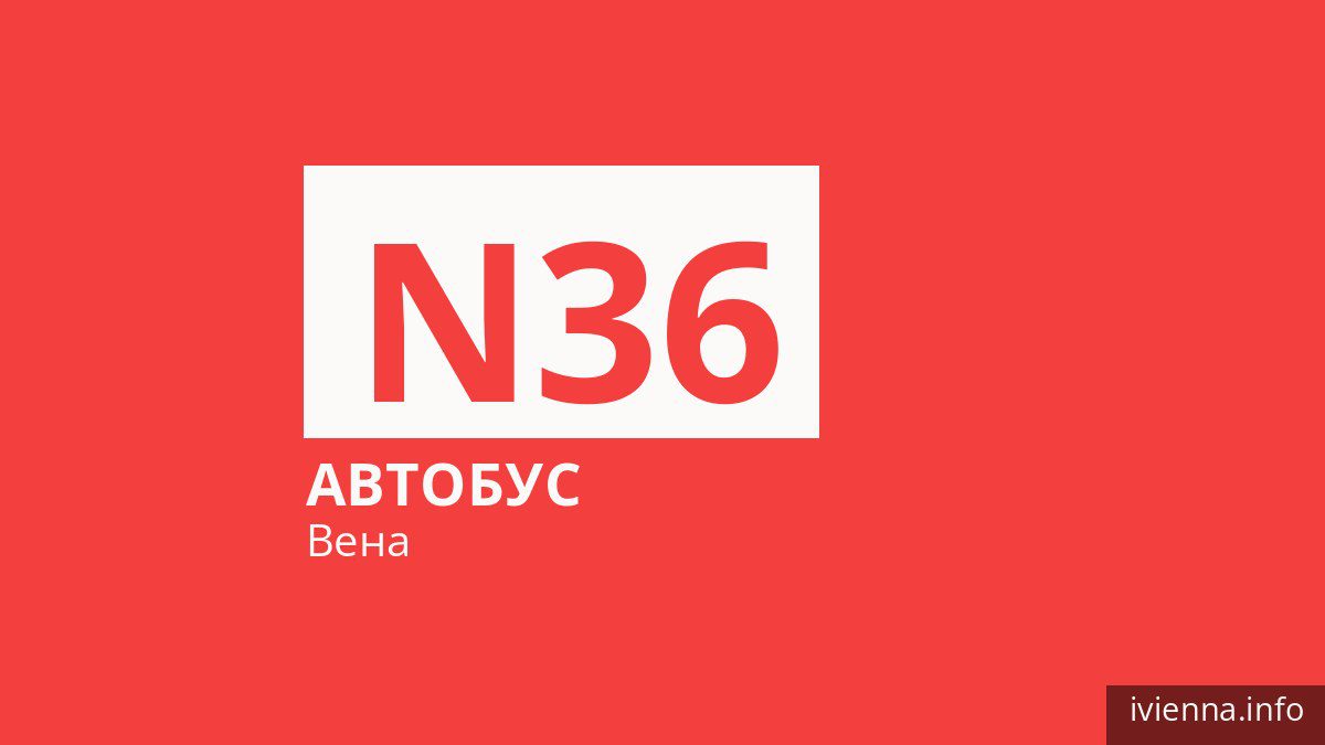 Ночной автобус N36 в Вене