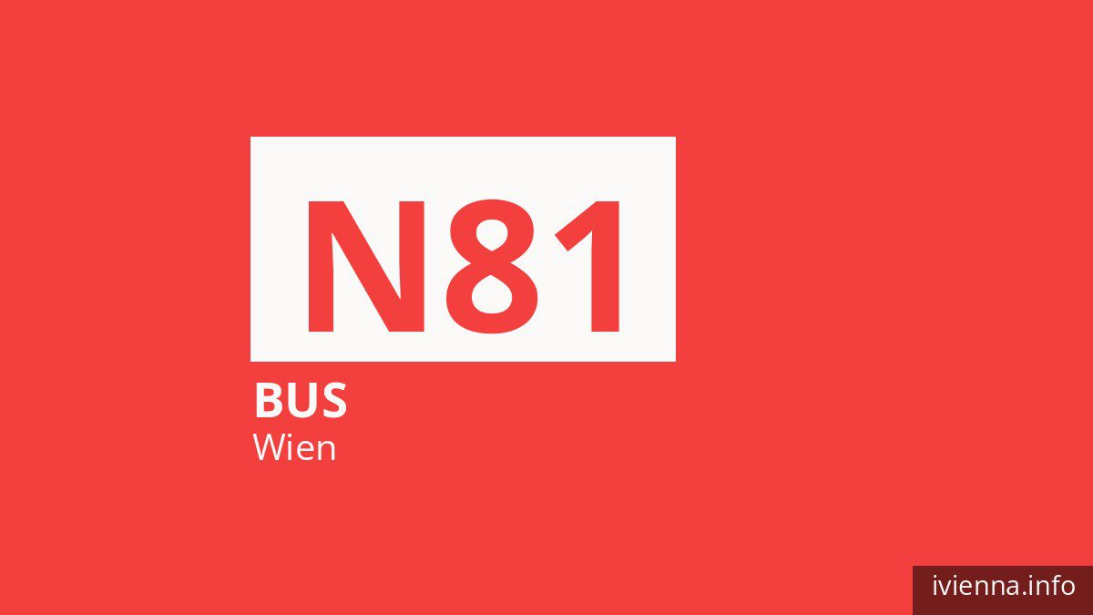 Nachtbus N81 in Wien